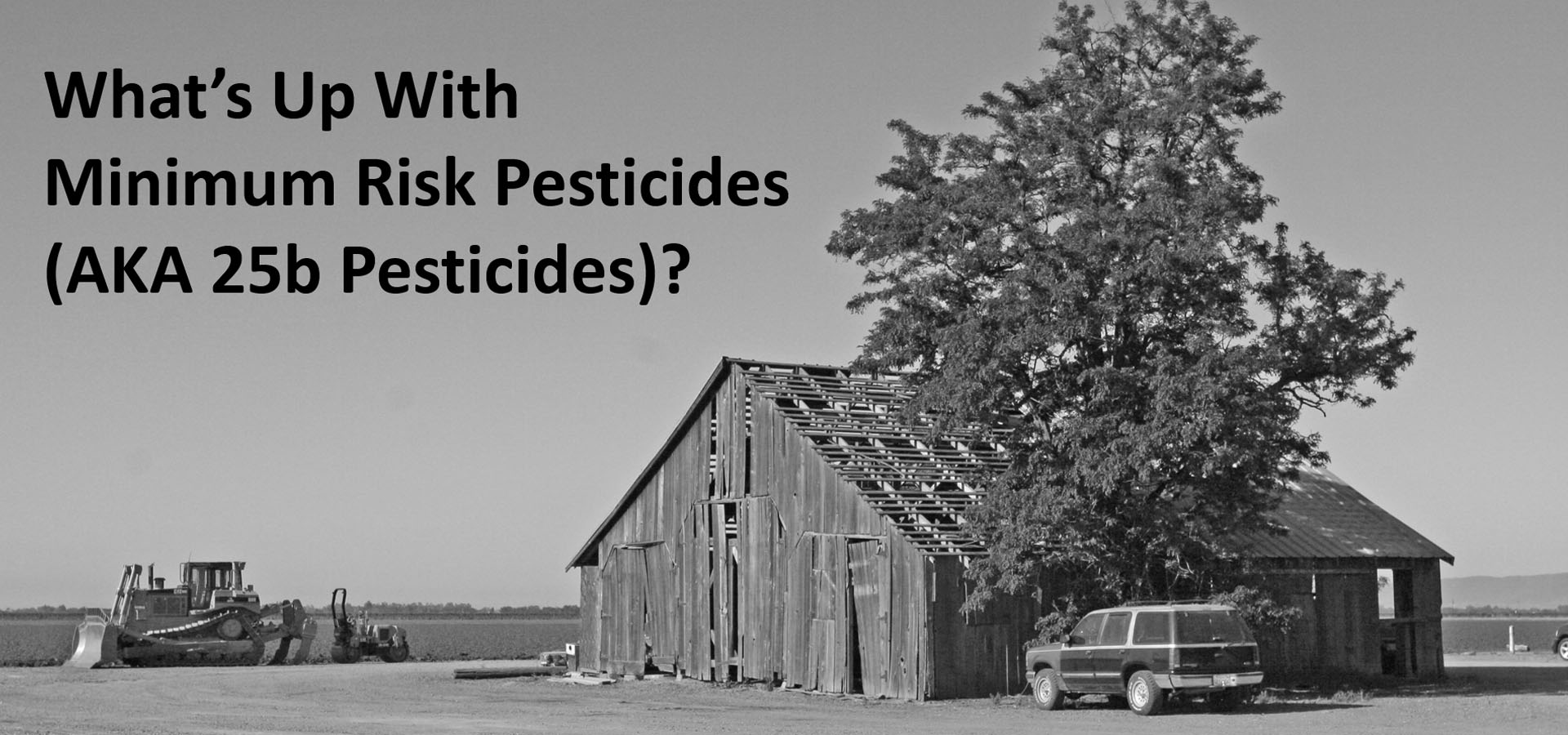 What’s Up with Minimum Risk Pesticides (AKA 25b Pesticides)?