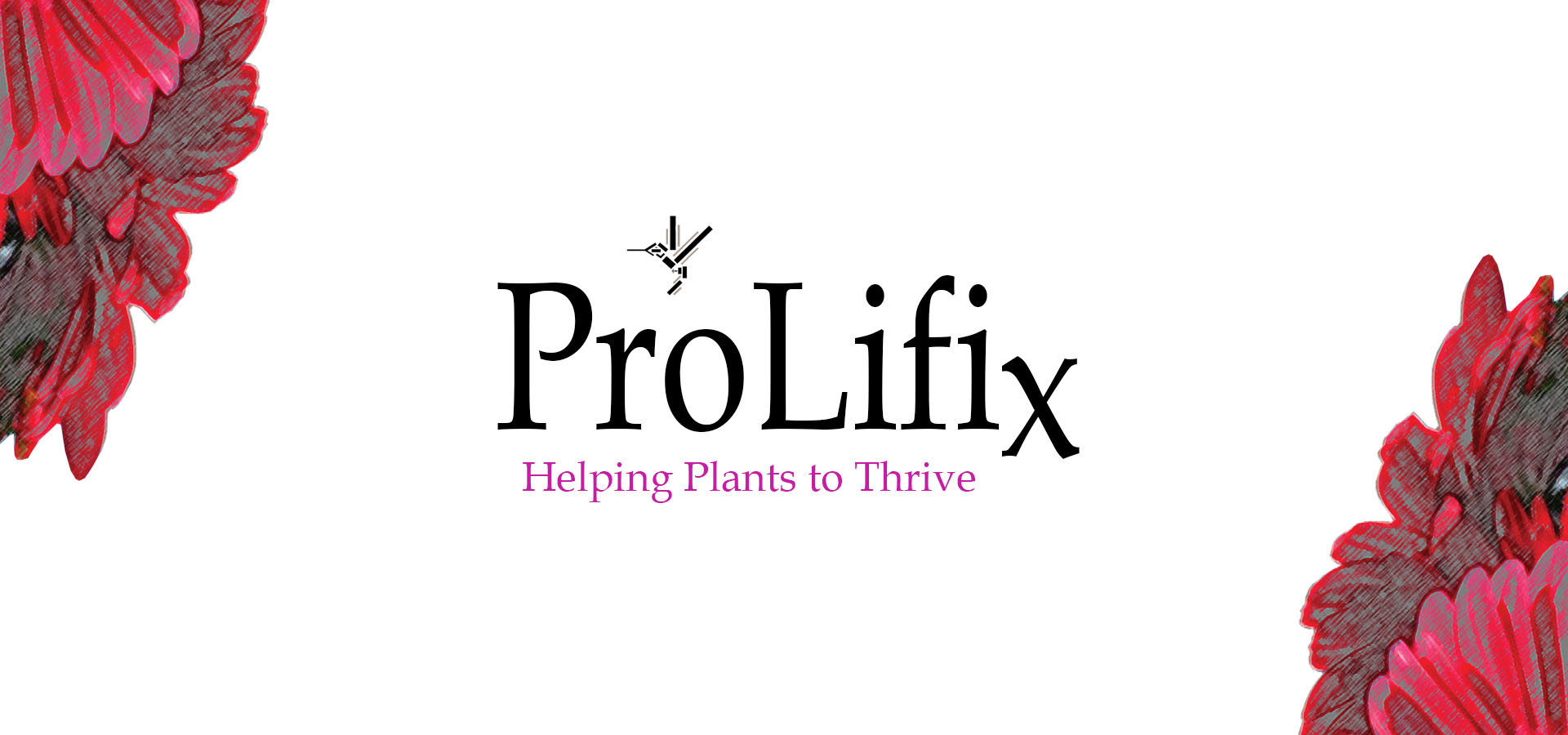 ProLifix Outshines Expectations in 2024 Vineyard Trials